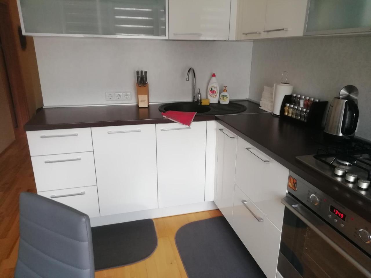 Justinos Apartamentai Panevezyje Паневежис Екстер'єр фото